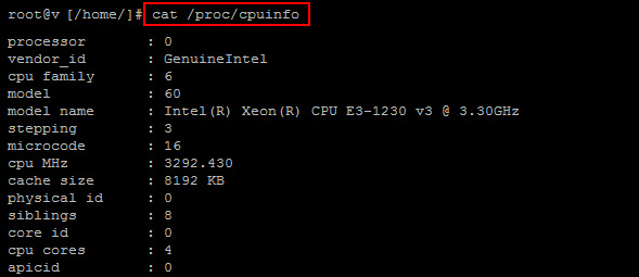 Cómo consultar la información de los procesadores de tu servidor por SSH