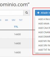 Añadir, editar o borrar registros DNS desde el WHM