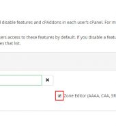 Activar el modo avanzado de gestión DNS en cPanel