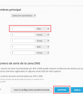 Modificar TTL de una zona DNS desde Plesk